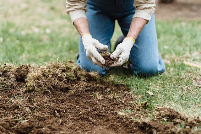 Sterilizing Old Potting Soil