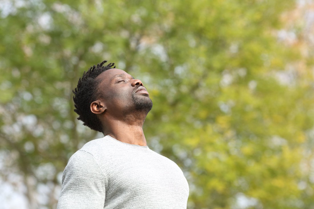 Eucalyptus Improves Respiratory Health