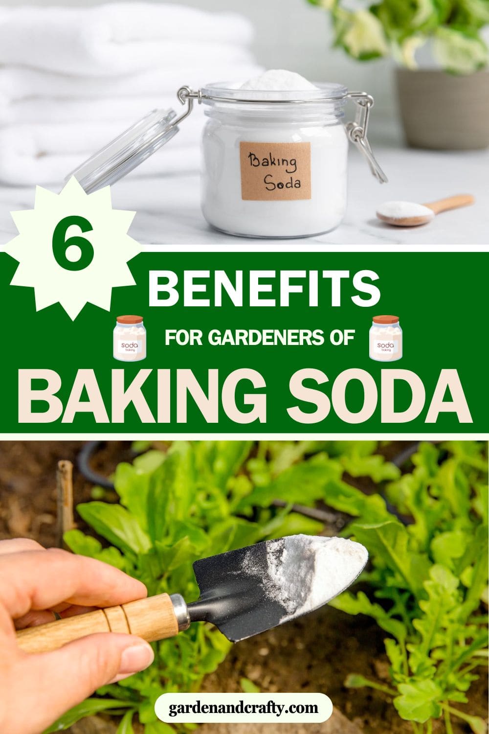 Here’s Why Baking Soda Is a Gardener’s Best Companion