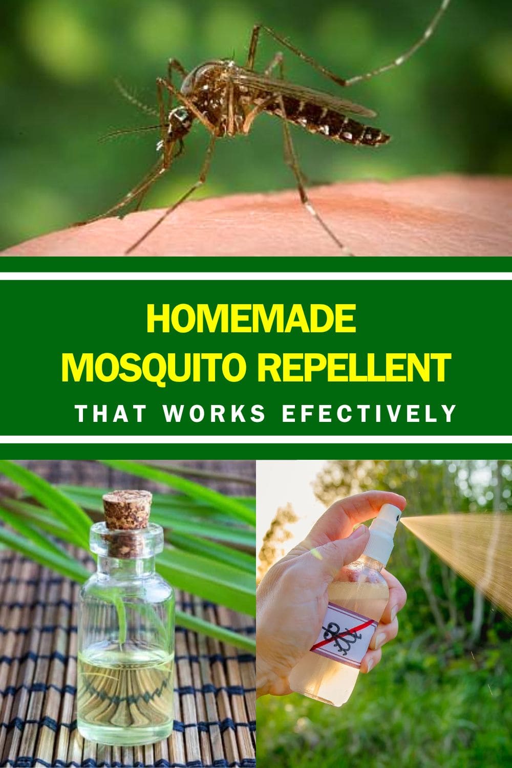 Homemade Mosquito Repellent That Works Effectively