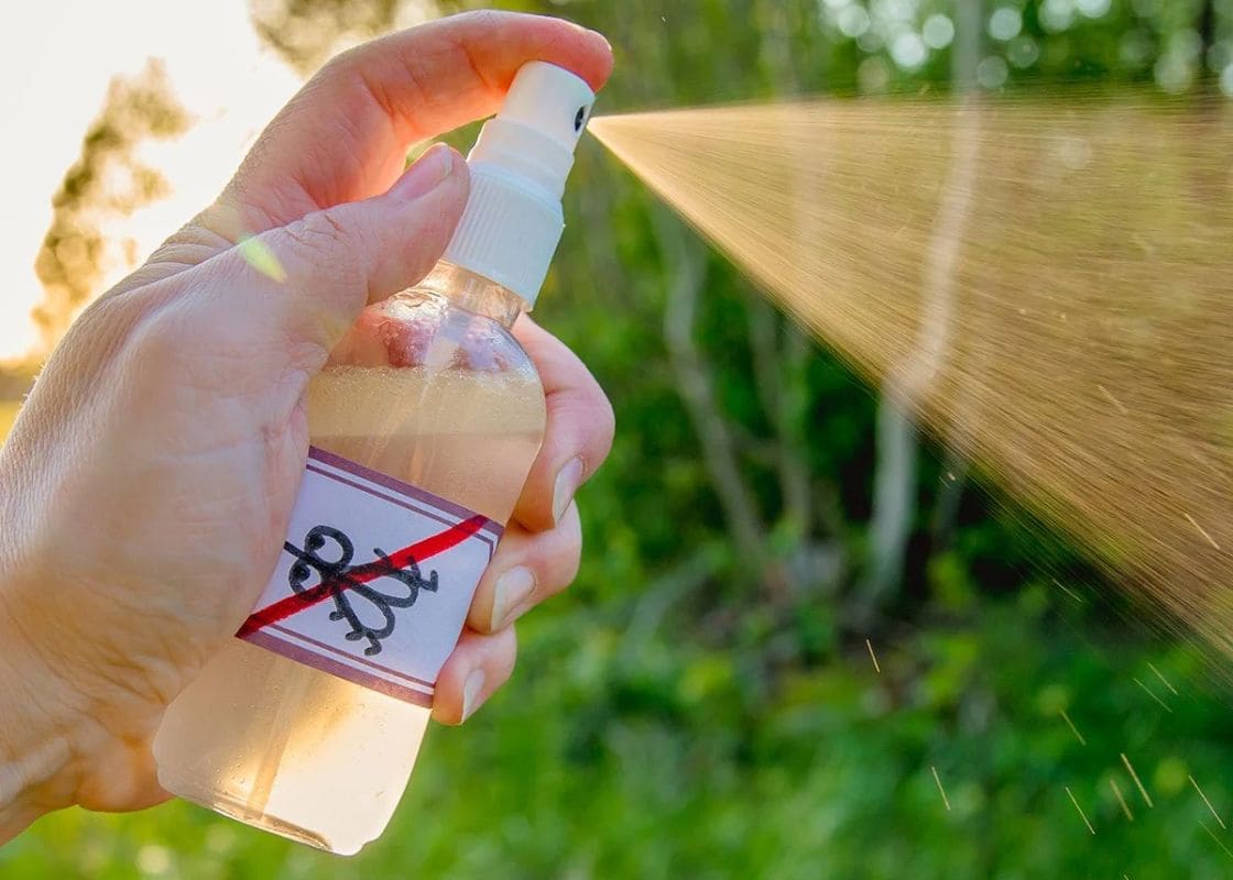 Homemade Mosquito Repellent That Works Effectively