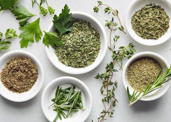 How to Make a Tea Garden