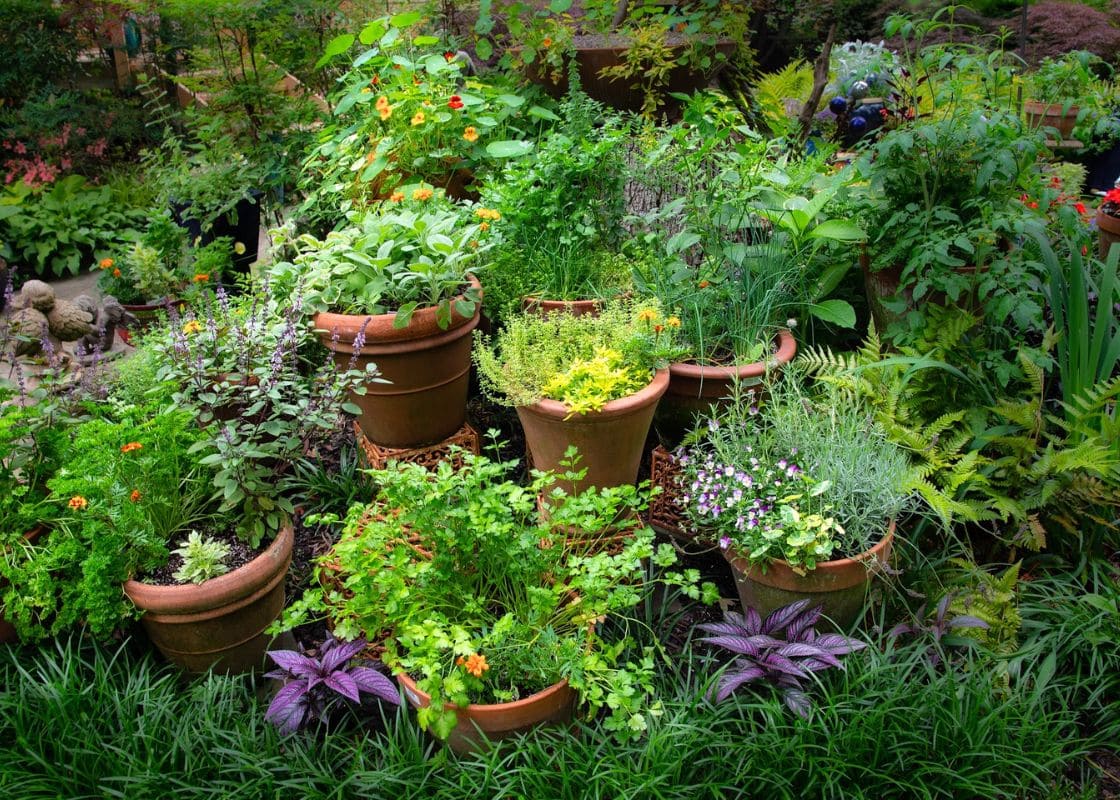 How to Start Your Own Cocktail Herb Garden