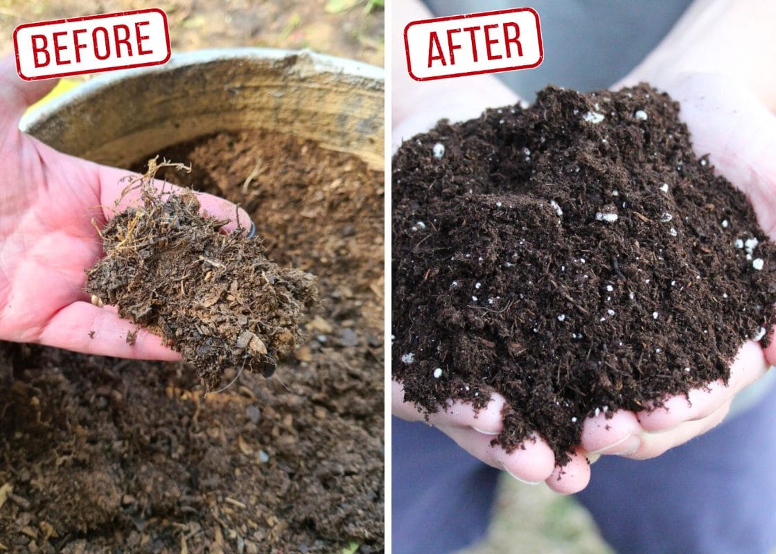 Don’t Toss That Old Potting Soil. Here’s How to Reuse and Improve It