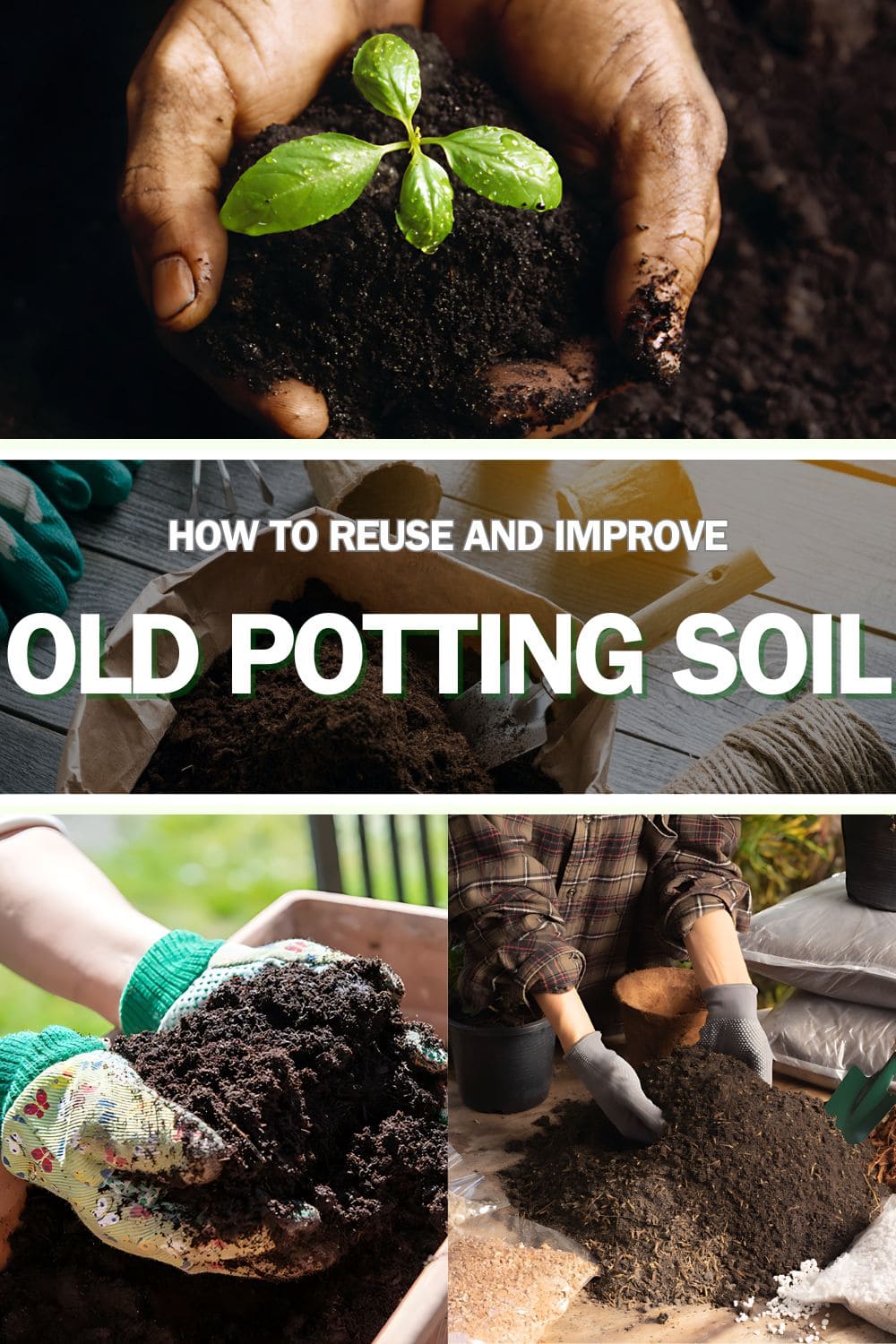 How to Reuse Old Potting Soil And Make it New Again