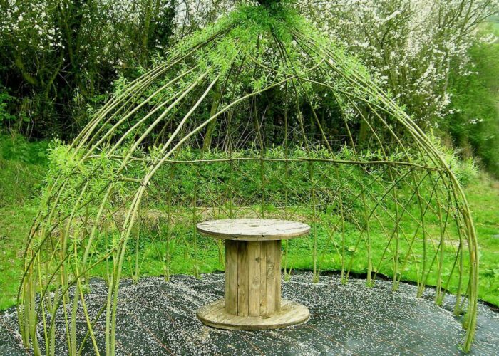 Living Willow Domes