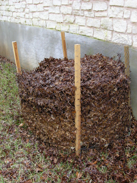 Composting from Pine Cones