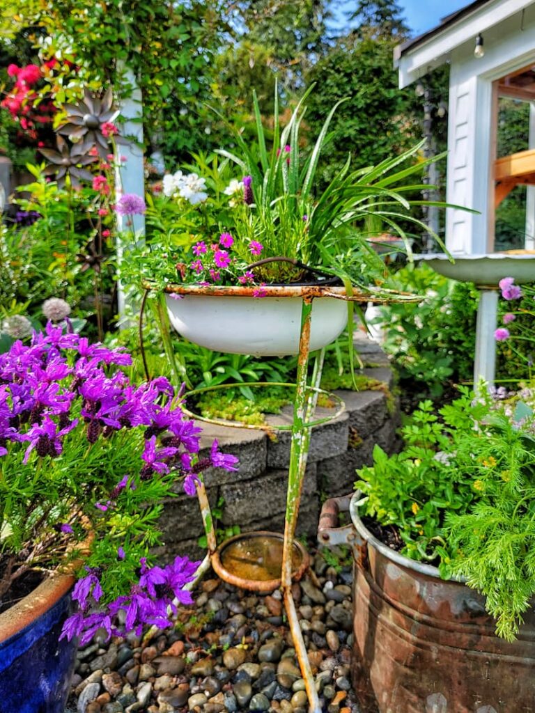 Reused Potting Soil for Container Gardening