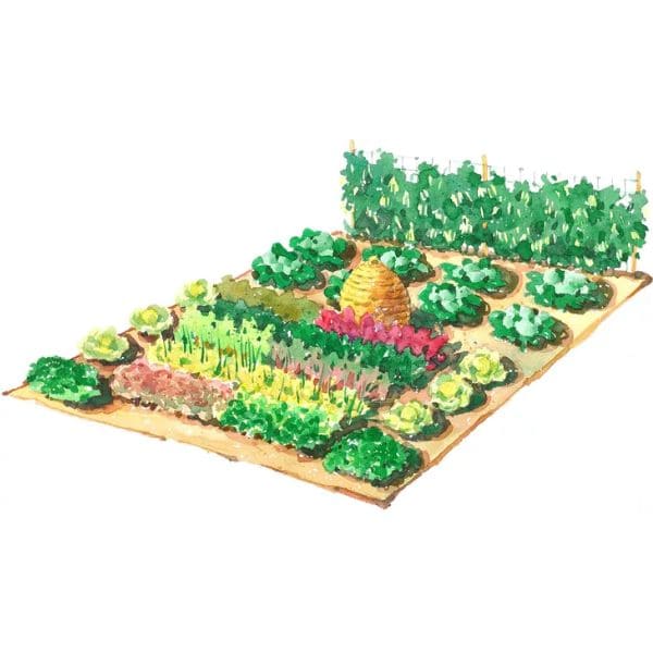 Large-Scale Vegetable Garden Plan