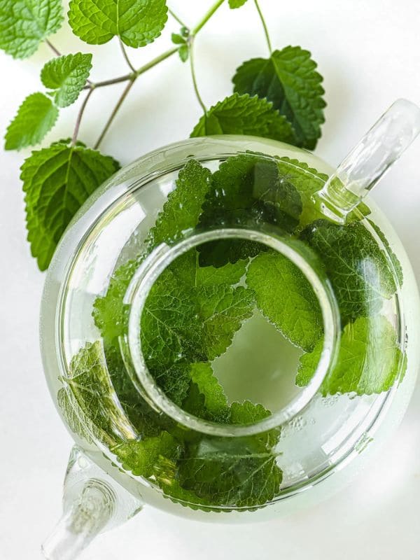 Lemon Balm Tea