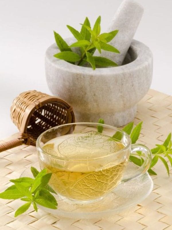 Lemon Verbena Tea