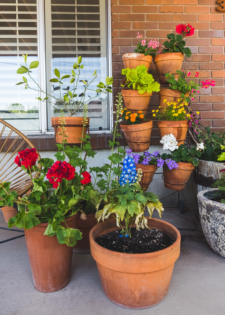 Container Gardens