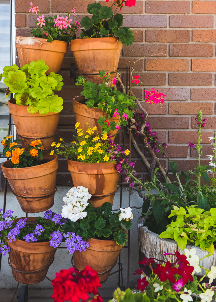 Assessing the Condition of Old Potting Soil