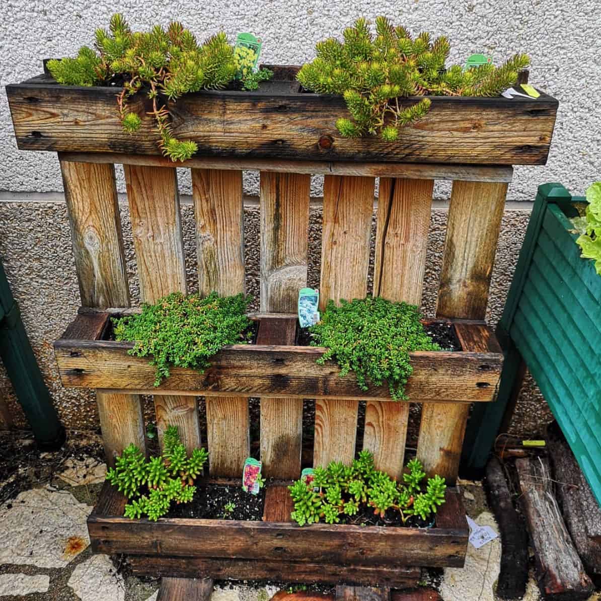 Wooden Pallet Planters