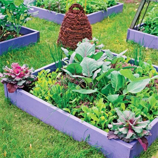 Small-Space Vegetable Garden Plan