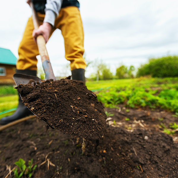 Soil Preparation