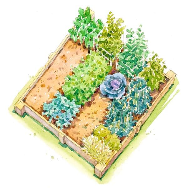 Summer Vegetable Garden Plan