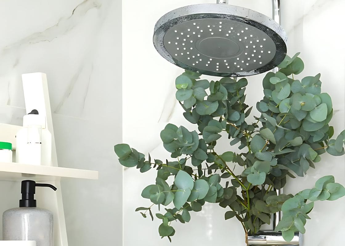 The Surprising Benefits of Eucalyptus in Your Shower