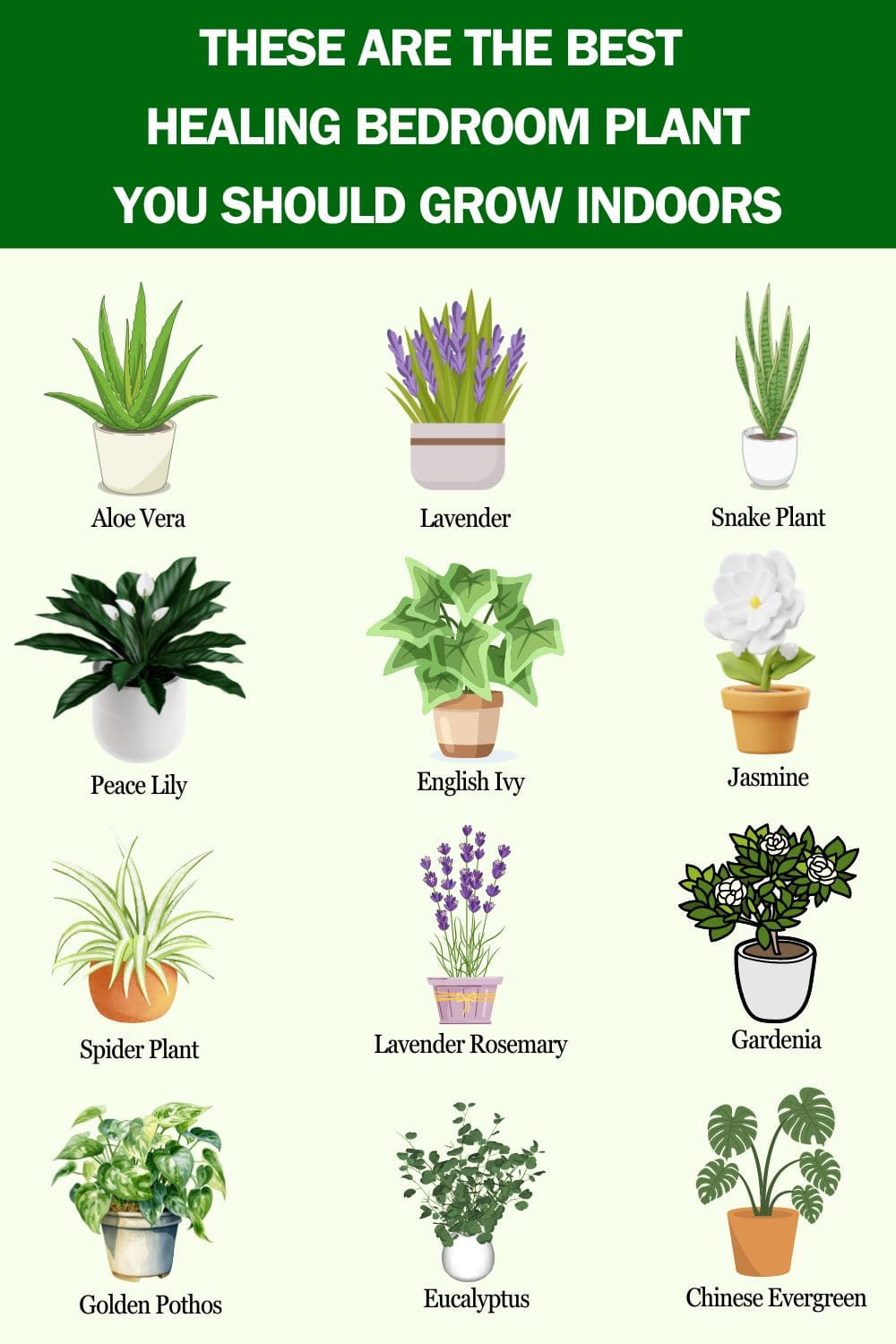 These Are The Best Healing Plants to Grow in Your Bedroom for a Healthier Indoor Space