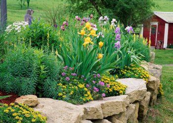 These Gardening Tips Are for Lazy Gardeners