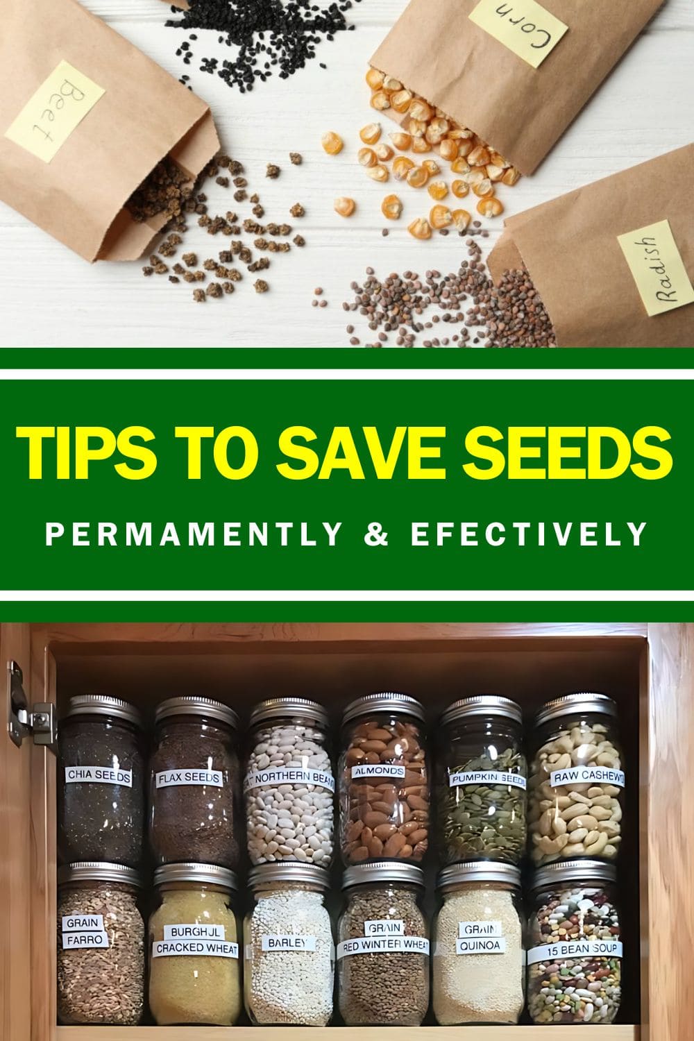 Tips You Should Know to Save Seeds Effectively