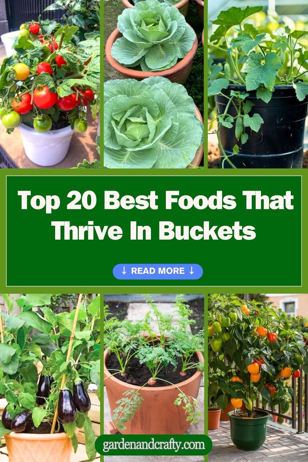 Top 20 Best Foods That Thrive In Buckets