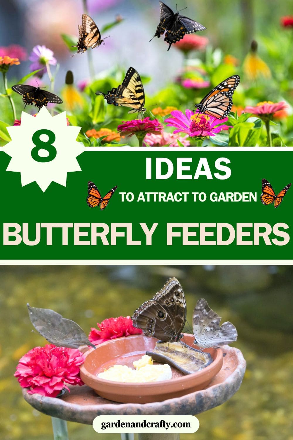 Top 8 Ideas of Butterfly Feeders And How to Attract Endless Butterflies