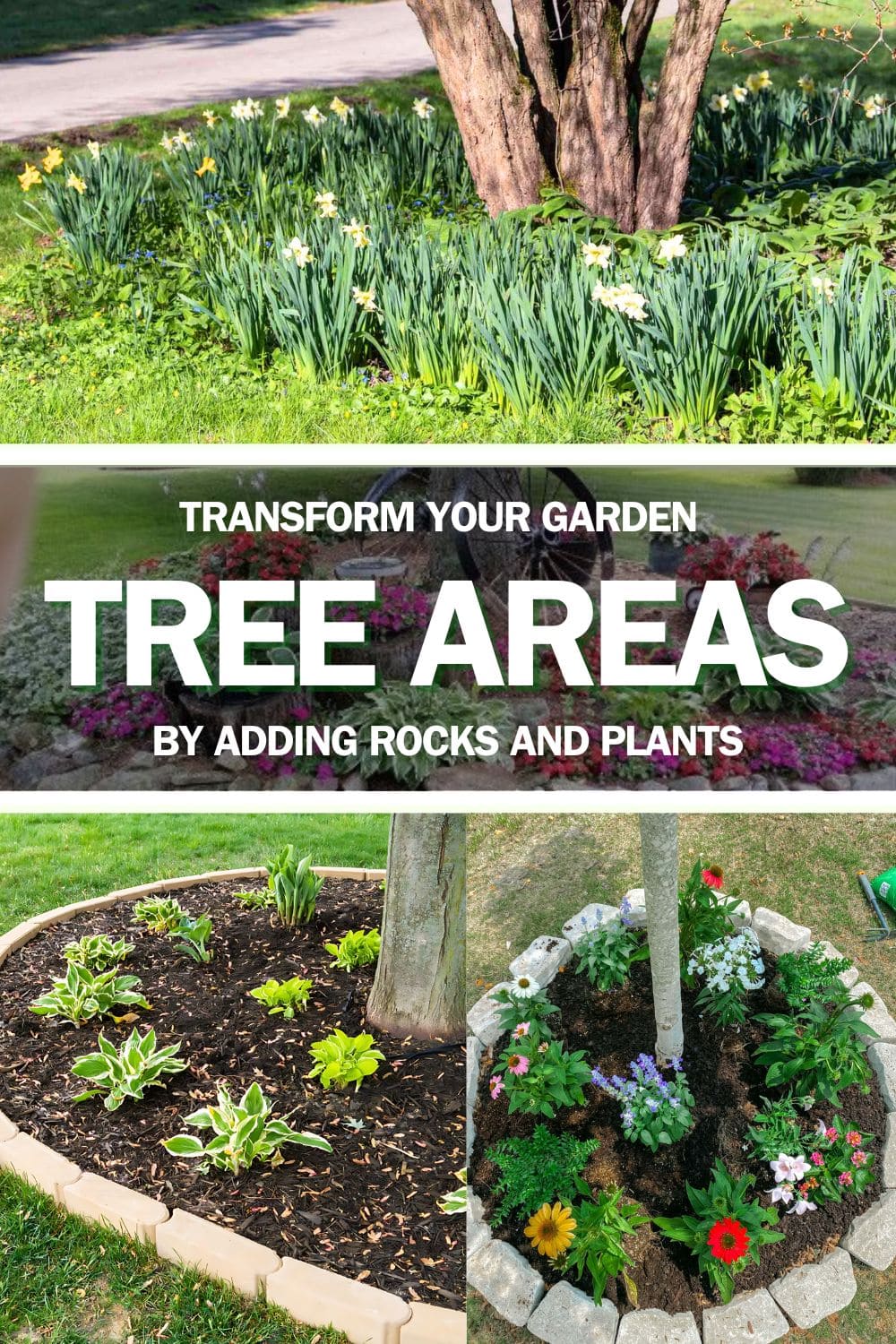 Transform Your Garden by Adding Rocks and Plants Around Tree Areas