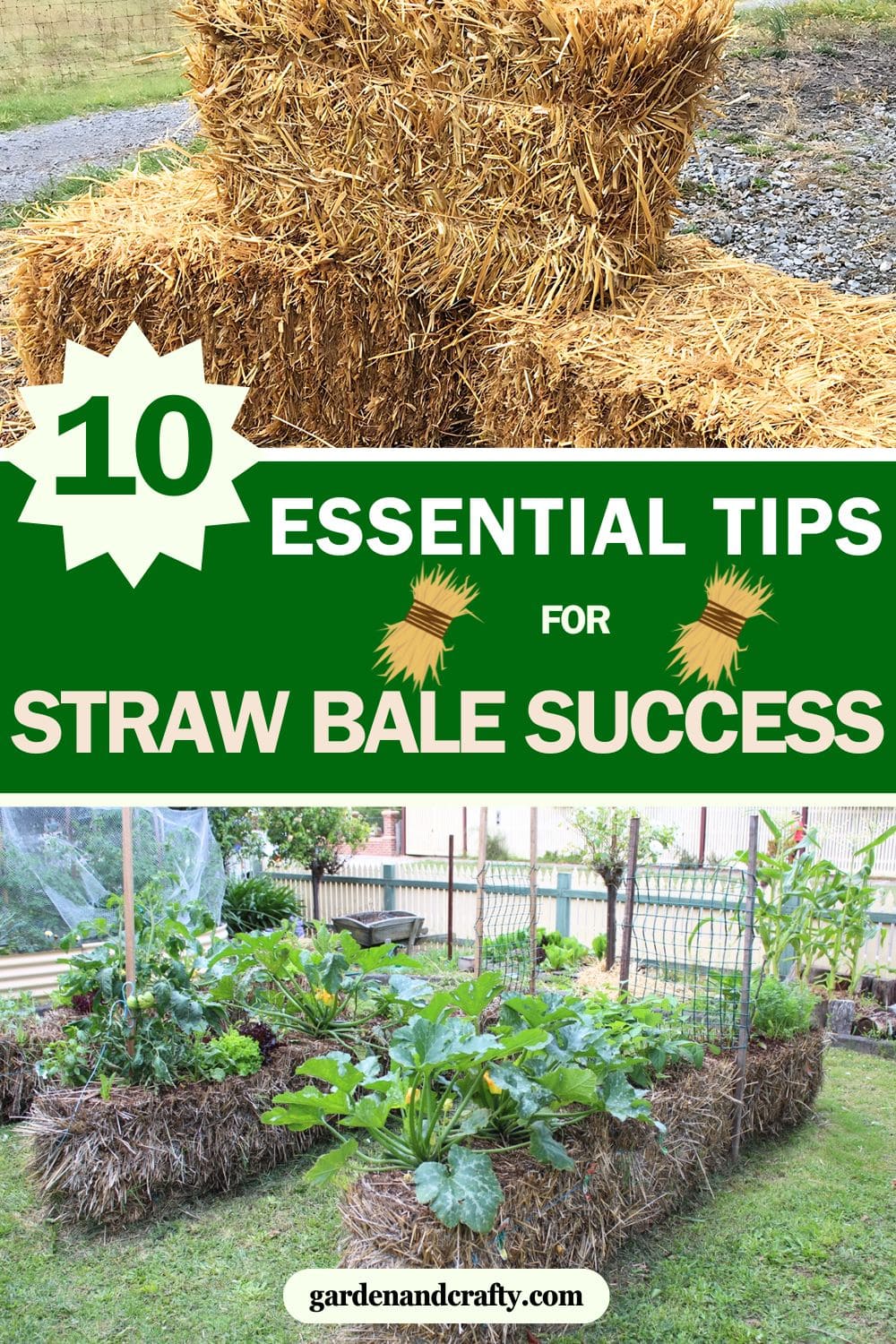 Uncover the Secrets of Soil-Free Gardening 10 Essential Tips for Straw Bale Success