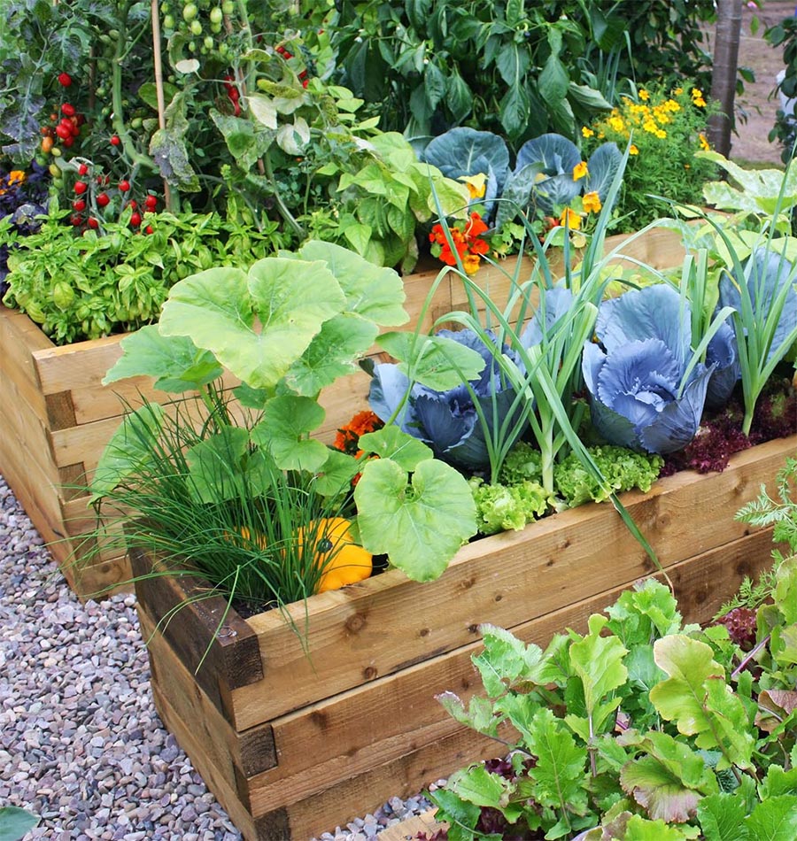 Employ Raised Beds