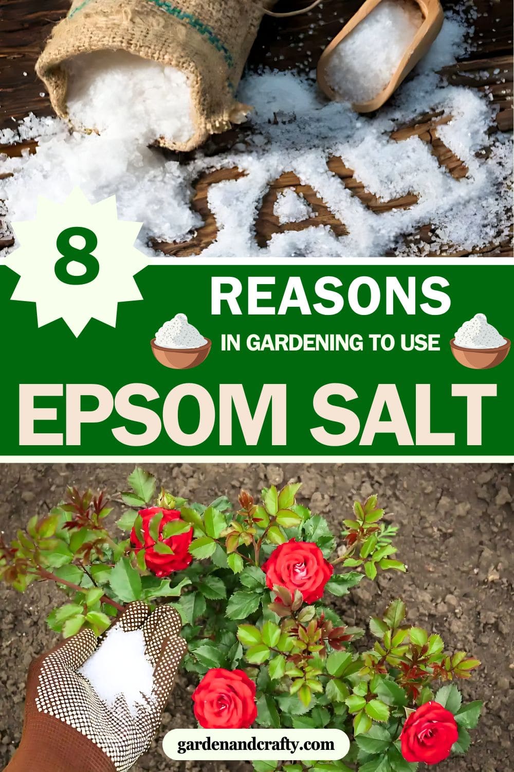 Why Epsom Salt Is a Gardener’s Best Friend?