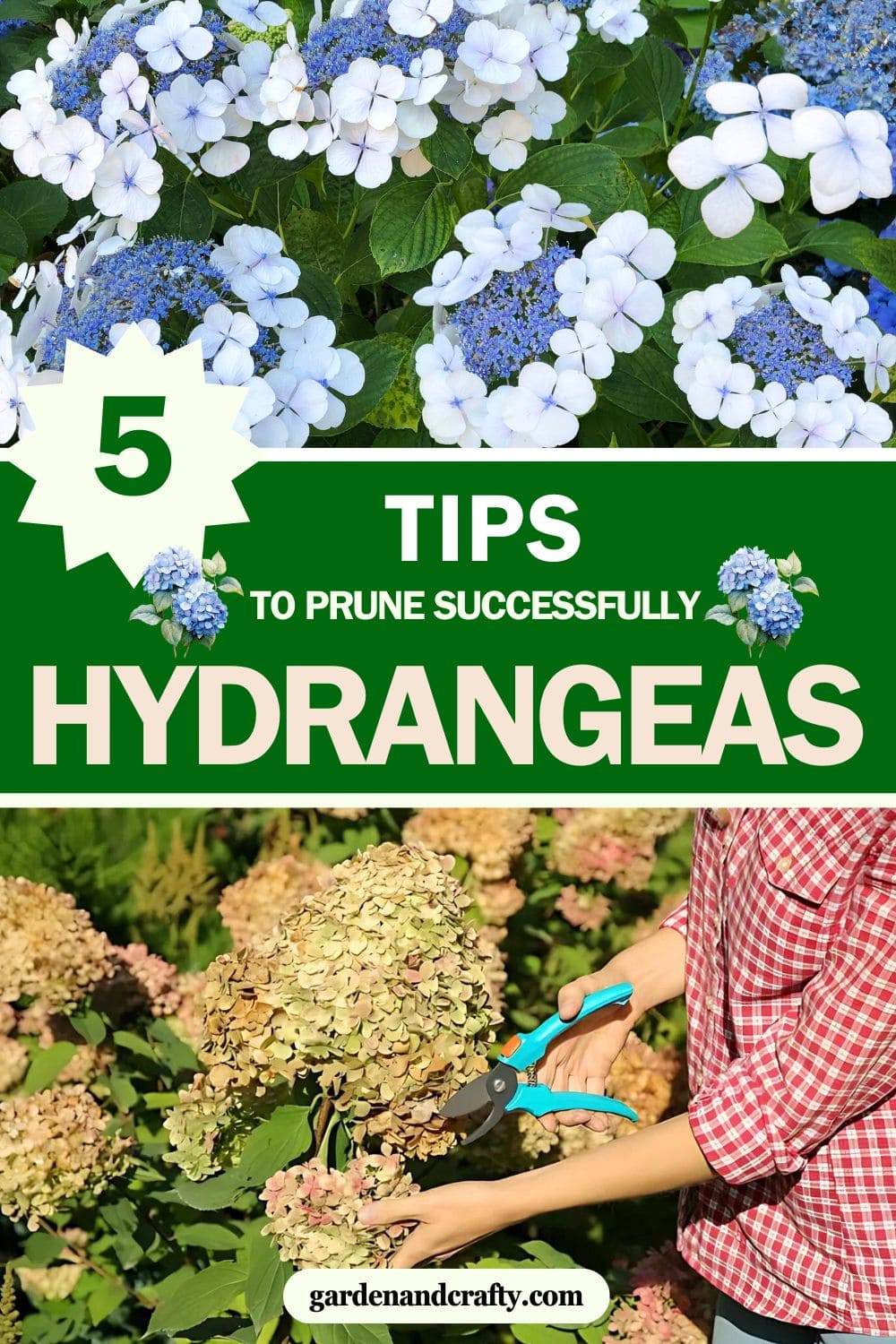 You’re Bound to Fail Without Knowing the Right Way to Prune Hydrangeas. Here's Your Guide