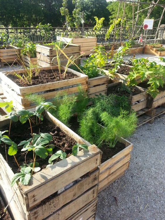 Wooden Crate Planters