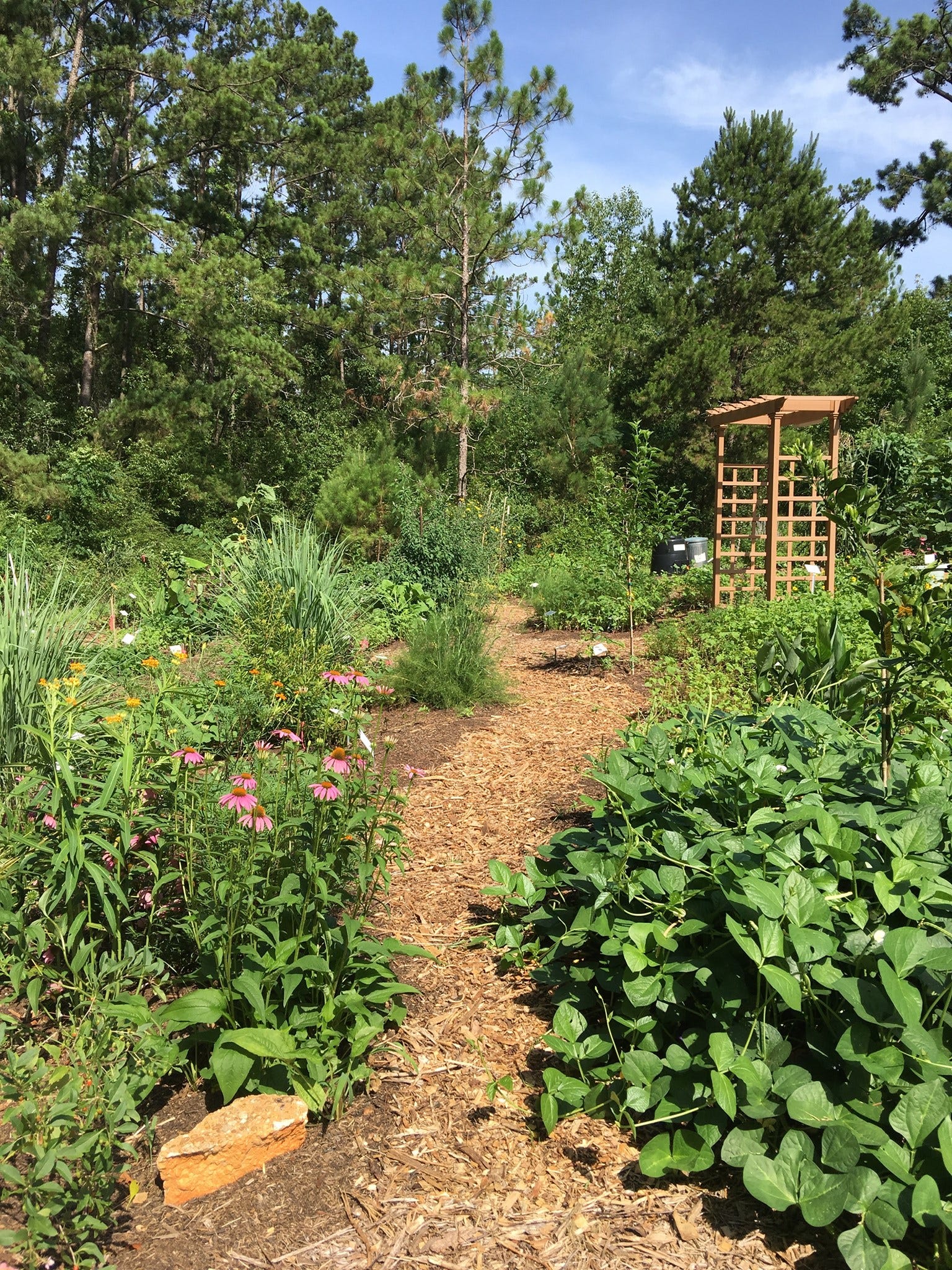 Edible Forest Garden