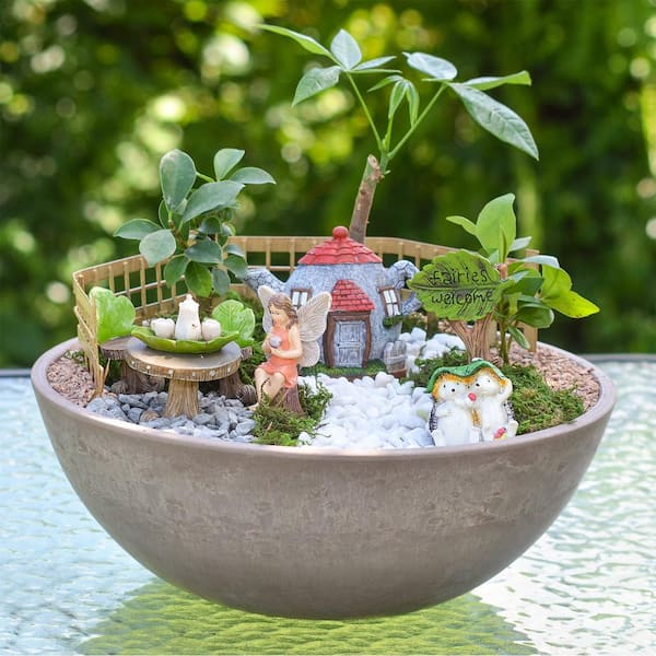 Fairy Garden Terrariums