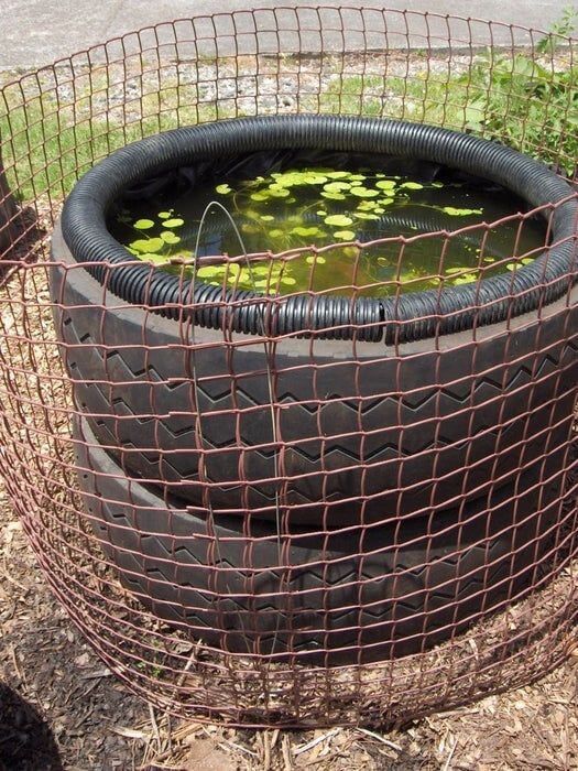 Tire Pond Garden