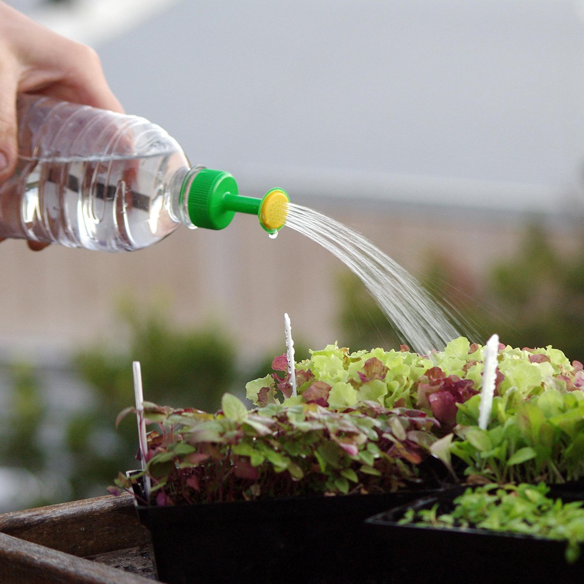 Tränke aus Plastikflaschen