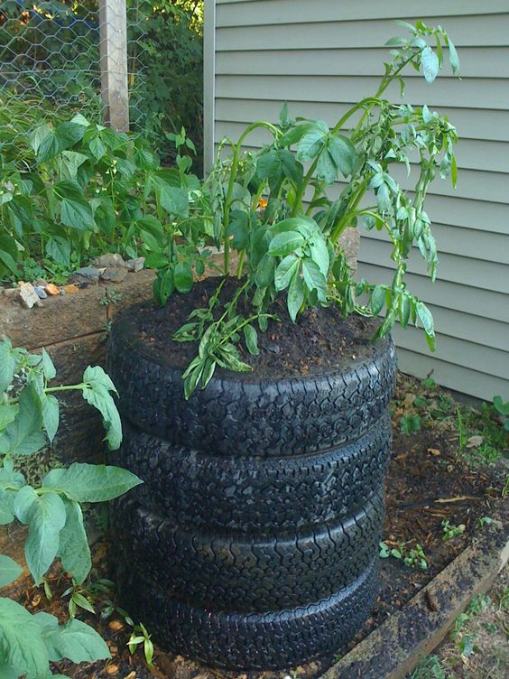 Tire Potato Planter