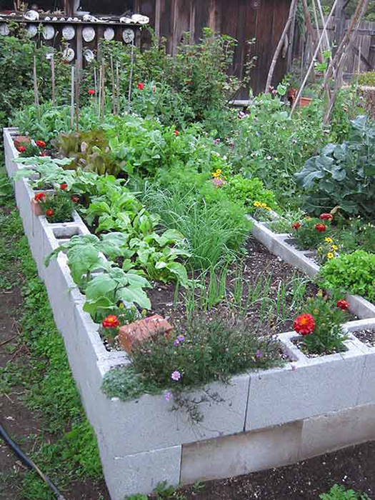 Cinder Block Raised Bed