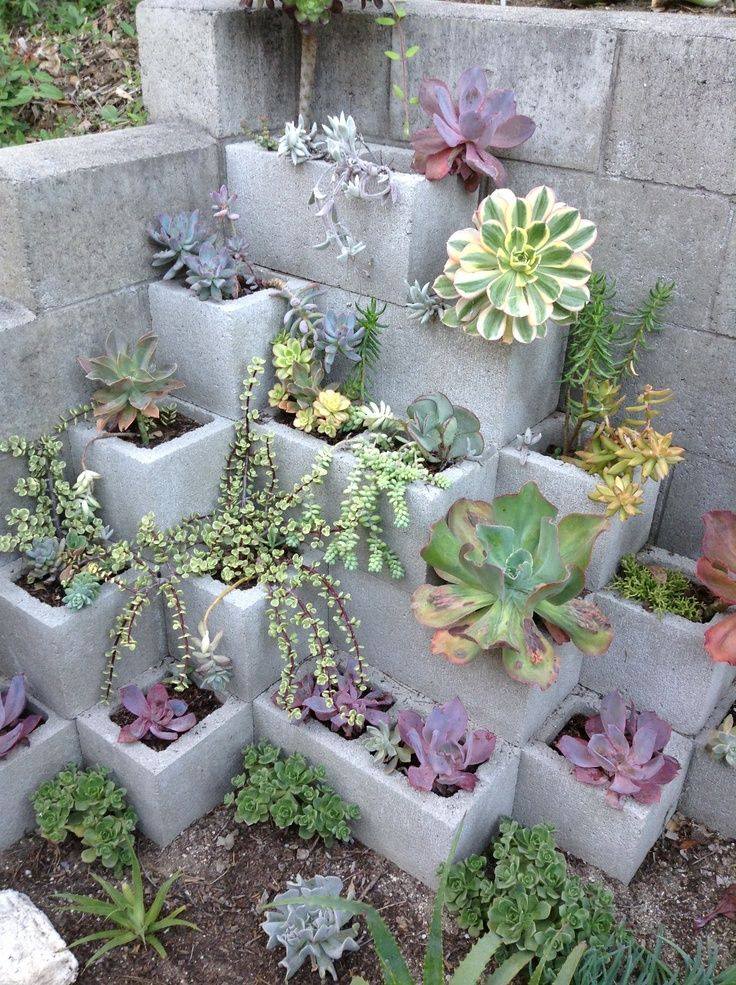 Vertical Garden with Cinder Blocks