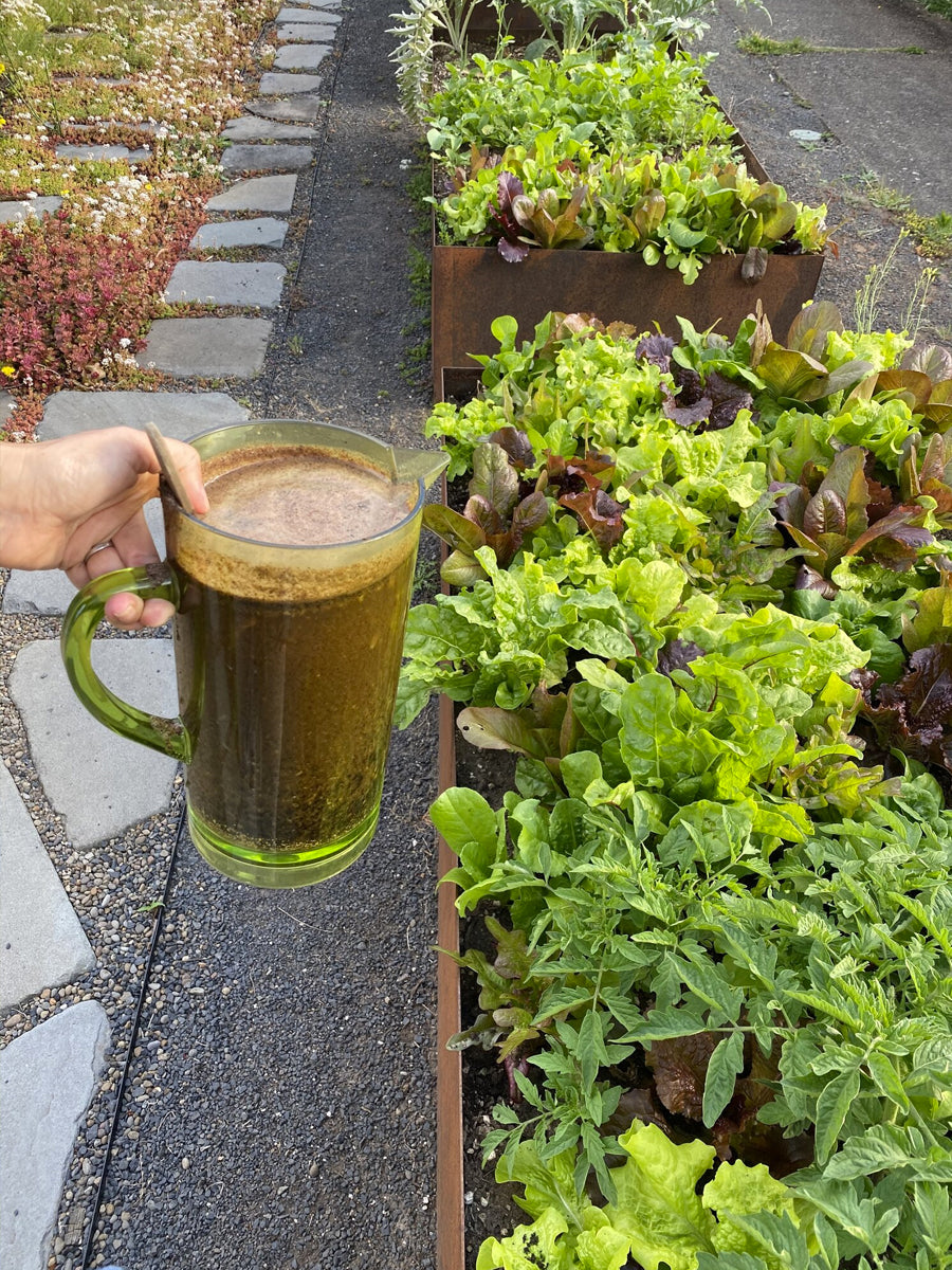 Compost Tea