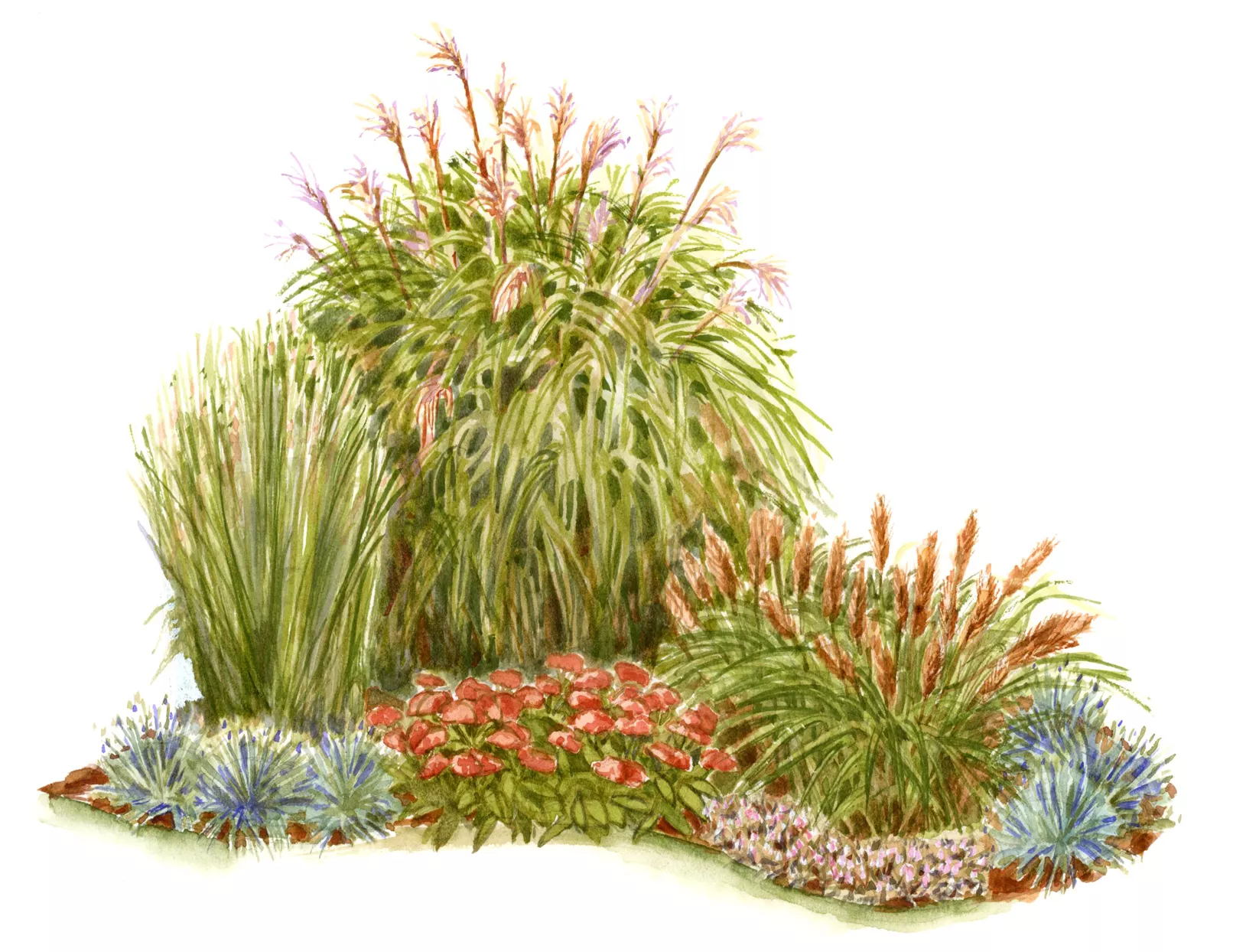 Grassy Corner Garden Layout