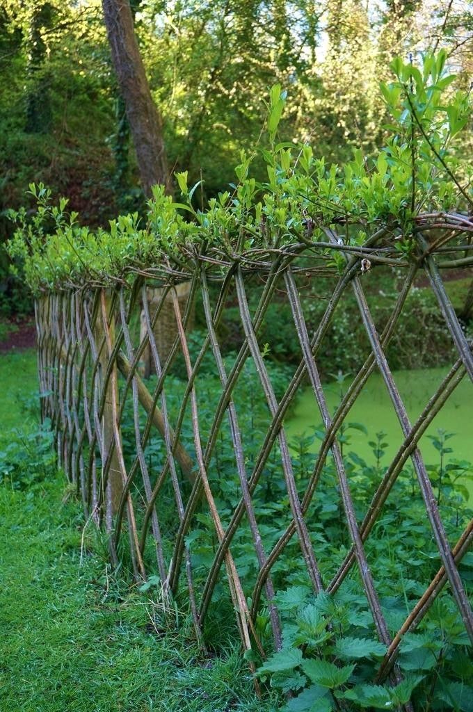 Woven Willow Fence