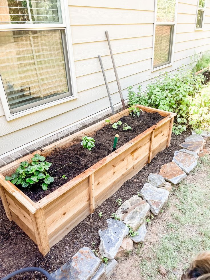 Pre-Planted Garden Boxes