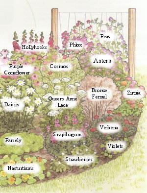 Easy Garden Design