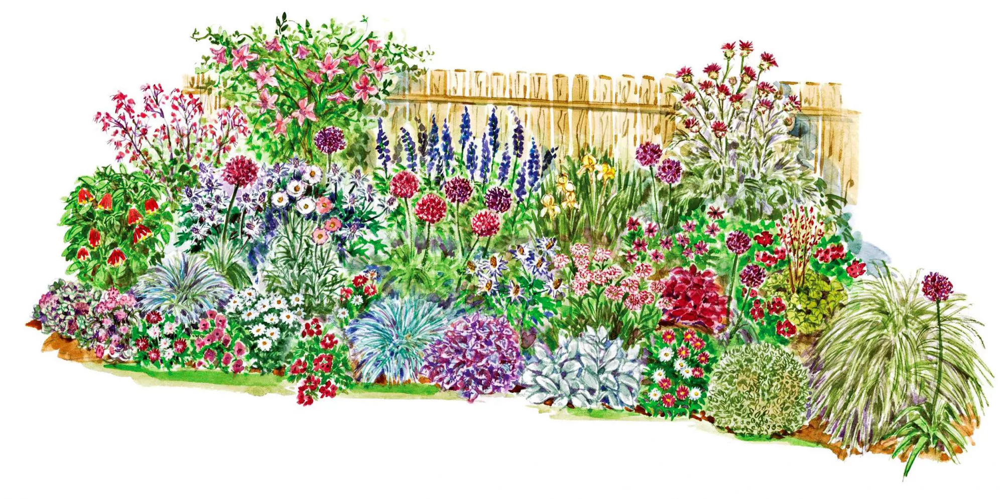 Garden Plan to Soften a Fence