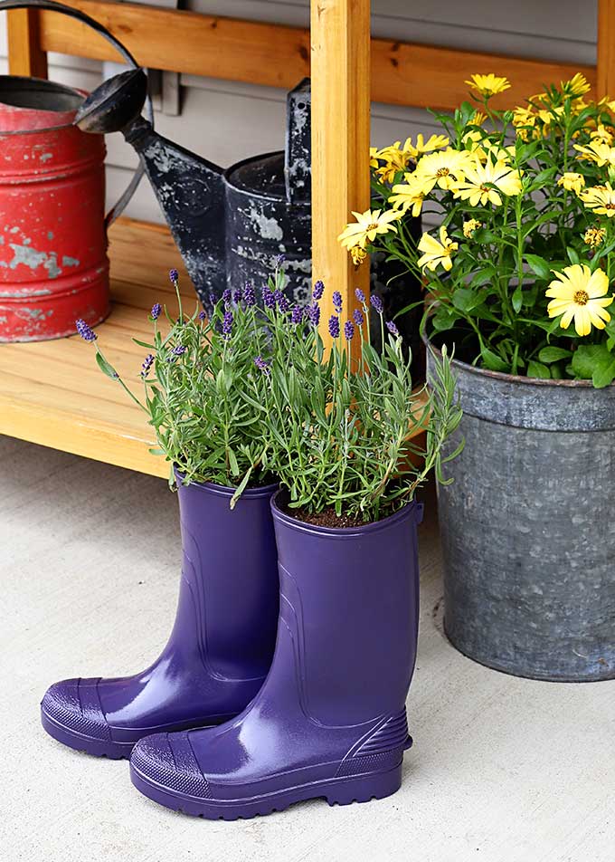 Boot Planters