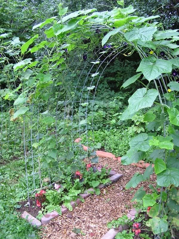 Arched Trellis