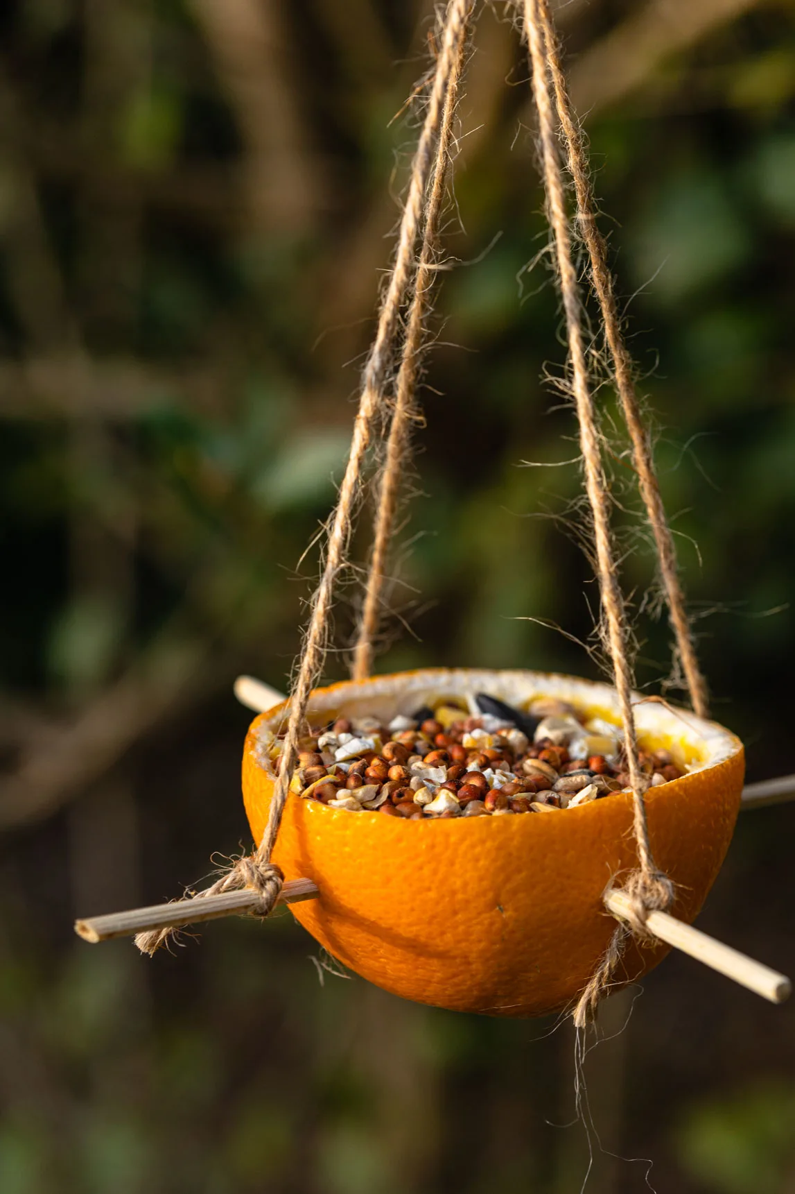 Orange Peel Cup Feeder