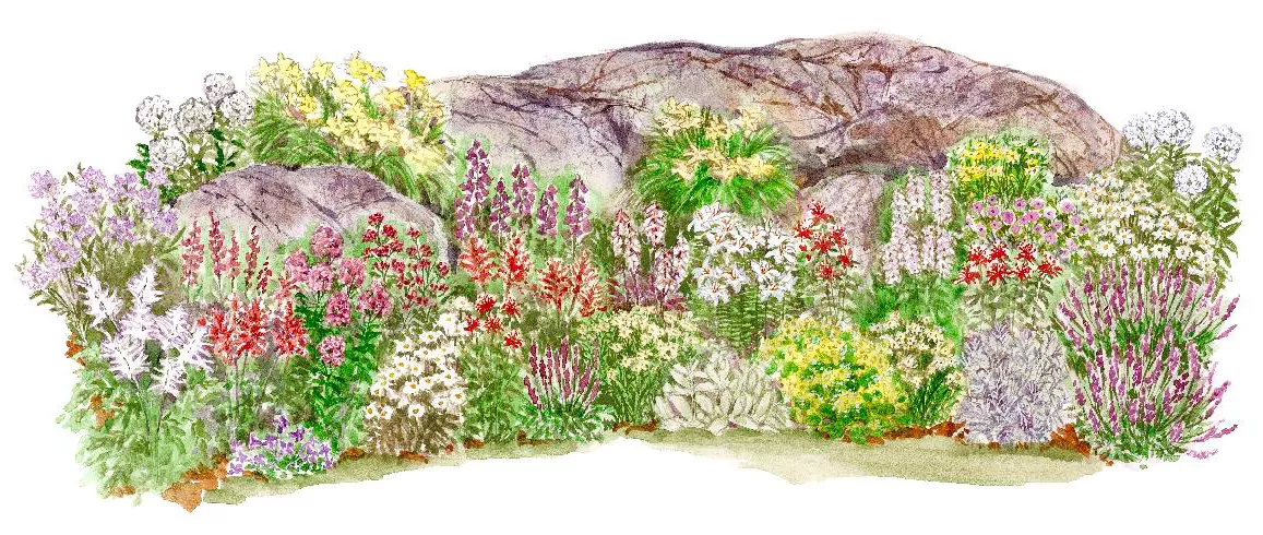 Long-Lasting Rock Garden Scheme